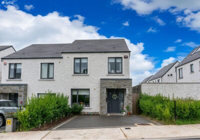 48-tinnycross-park-ballymore-eustace-naas-co-kildare-85115b71_07410ec2_8363810e_68fd1e721