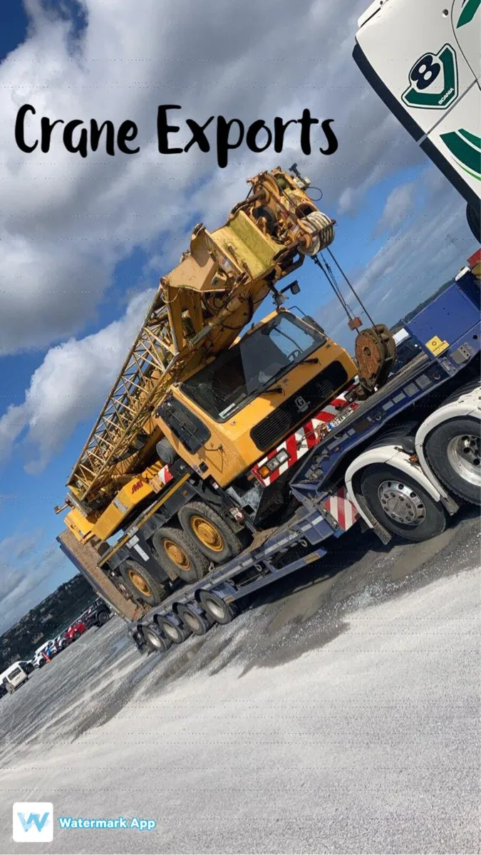 Crane exports 50 to 100 ton