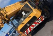 Crane exports 50 to 100 ton