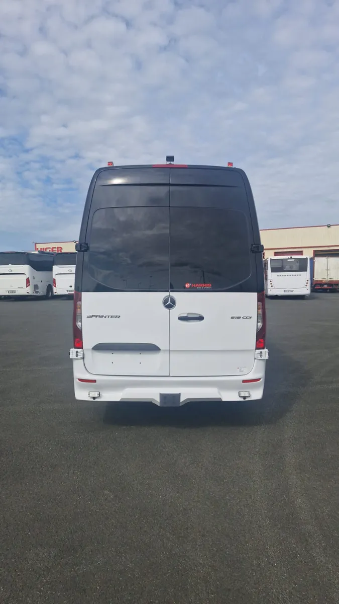 Brand new minibus Mercedes Sprinter 519
