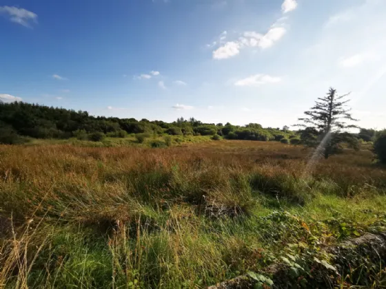 Old Castlebar Road Swinford Co. Mayo