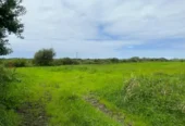 Site With Outline Planning Querrin Kilkee Co. Clare.