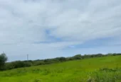 Site With Outline Planning Querrin Kilkee Co. Clare.