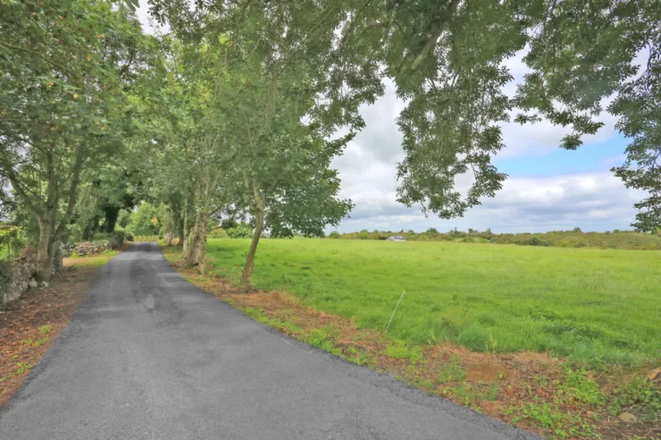 Dromlohan Kilcornan Pallaskenry Co. Limerick V94 AH1K