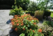 Laburnum House Air Hill Roscrea Co Tipperary E53 WC94
