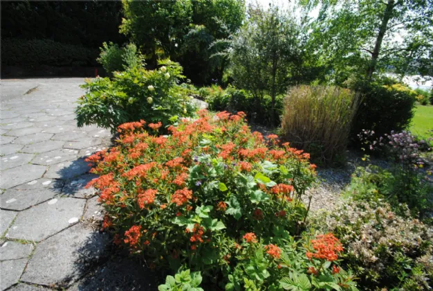 Laburnum House Air Hill Roscrea Co Tipperary E53 WC94