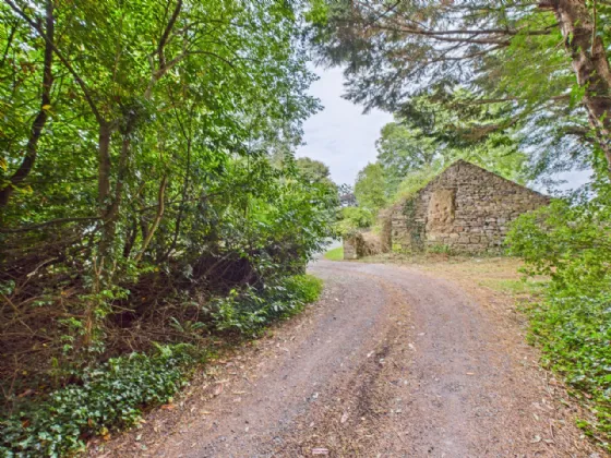 Hilltop Killoteran Co. Waterford X91 A6N9