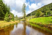 Glendasan Glendalough County Wicklow A98 TP64